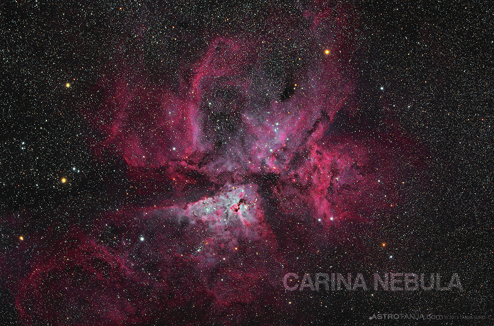 carina