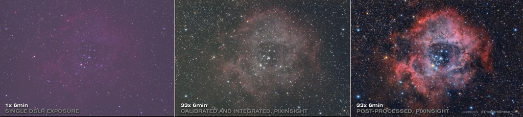 2013-10-13_rosette_comparison_1024