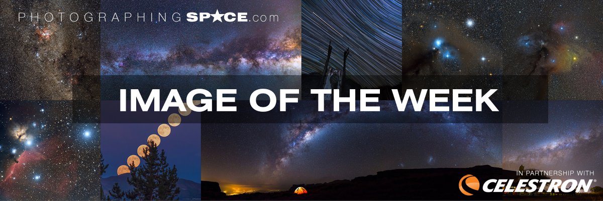 Image of the Week