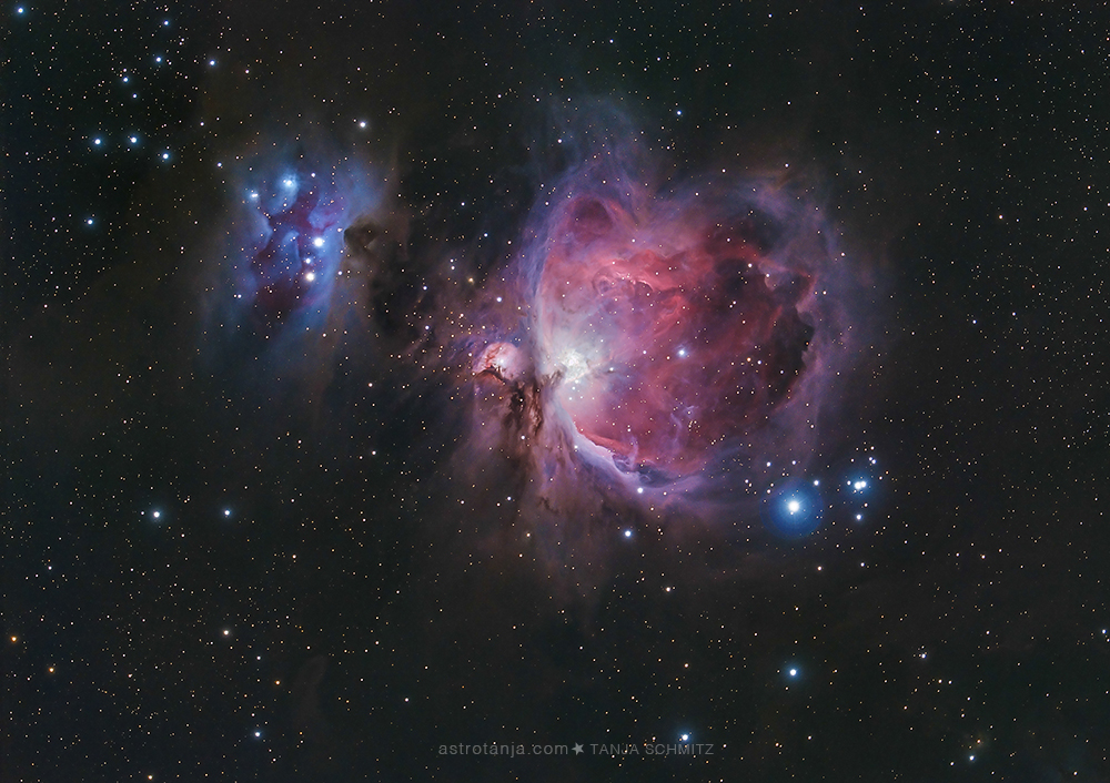 m42_TanjaFeatured