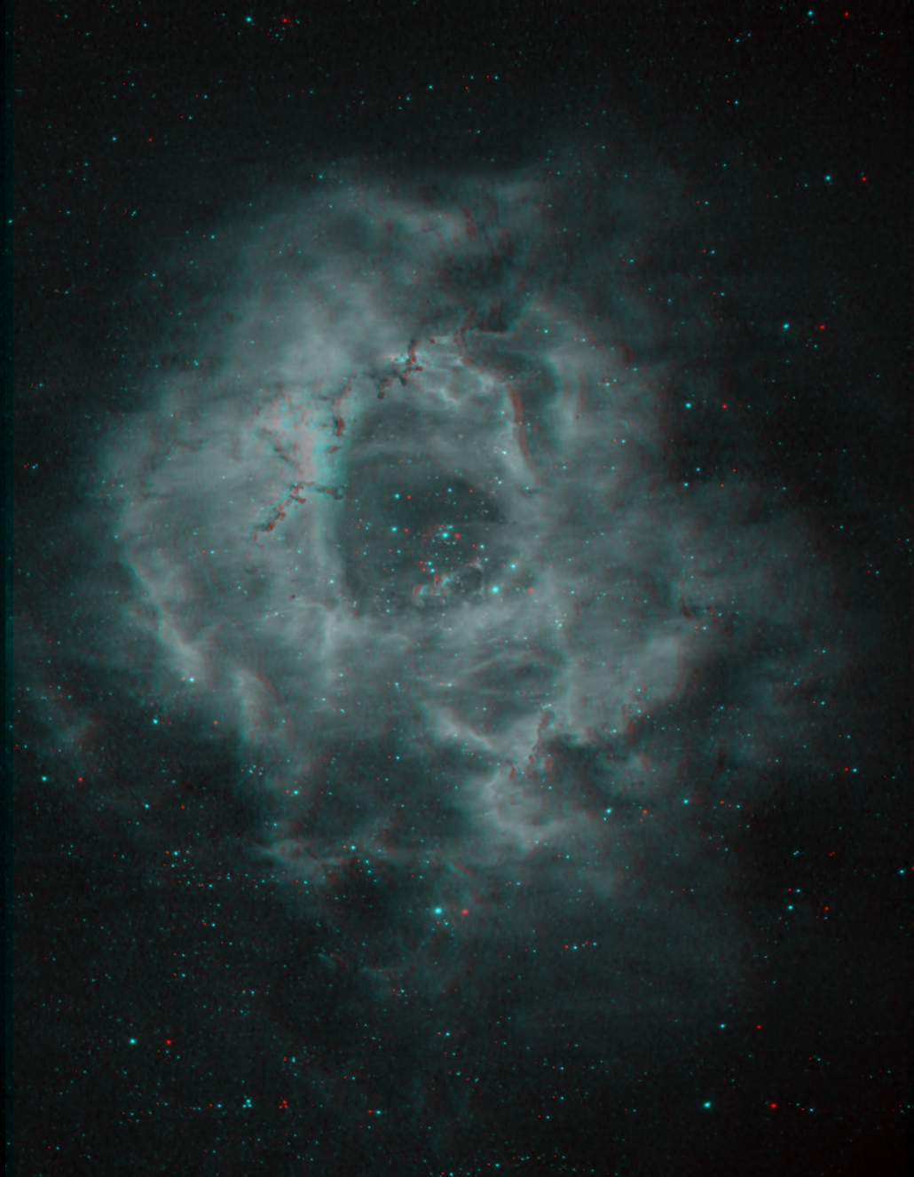 3D-Anaglyph-Rosette