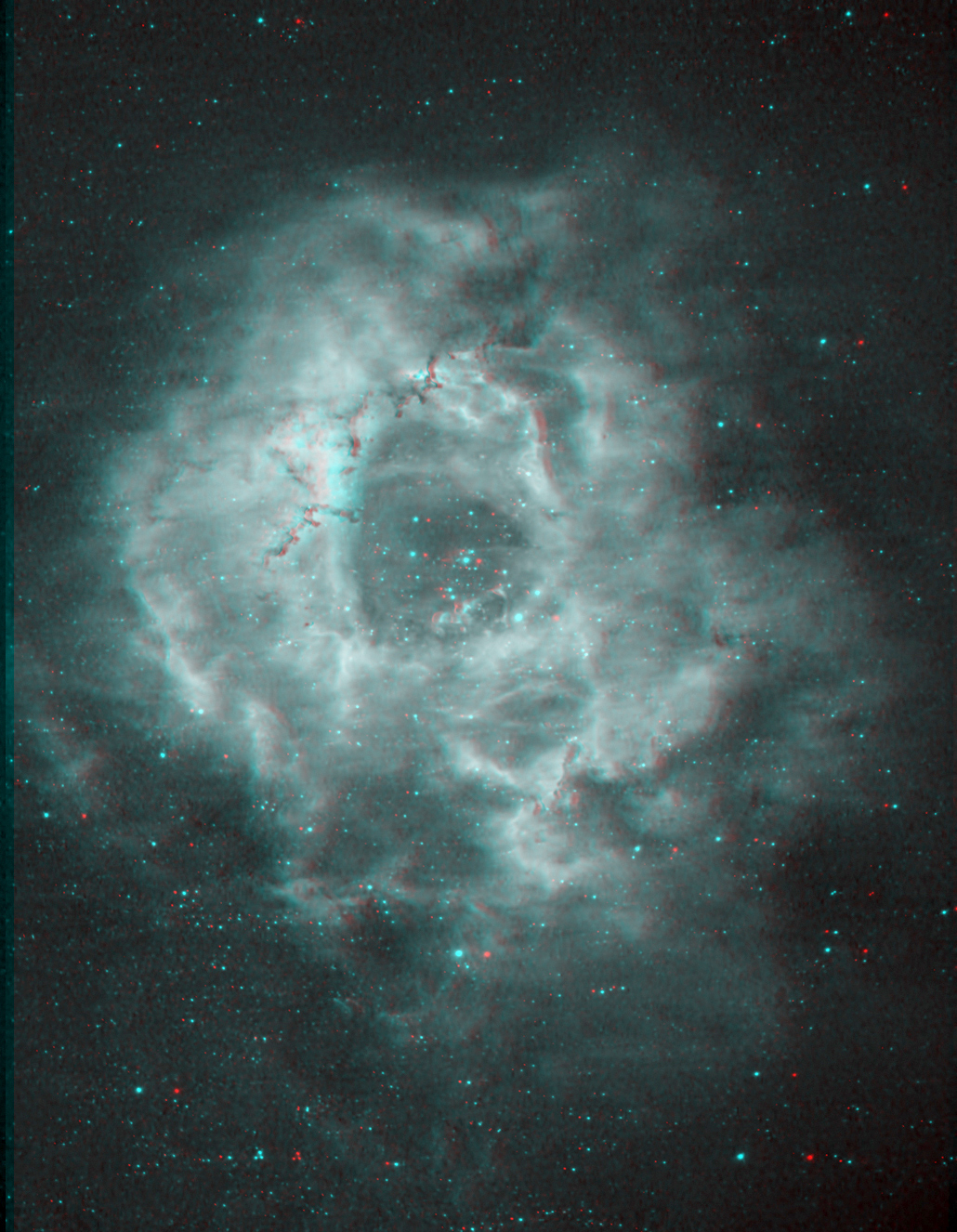 3D-Anaglyph-Rosette