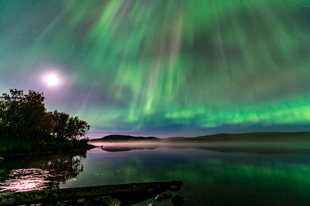 Mia Stalnacke Aurora