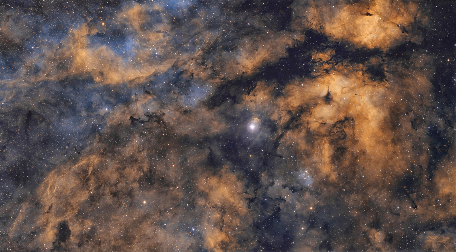 Gamma Cygni Nebula, by André van der Hoeven