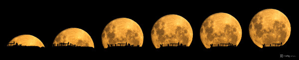 Mark Gee moon silhouettes seq