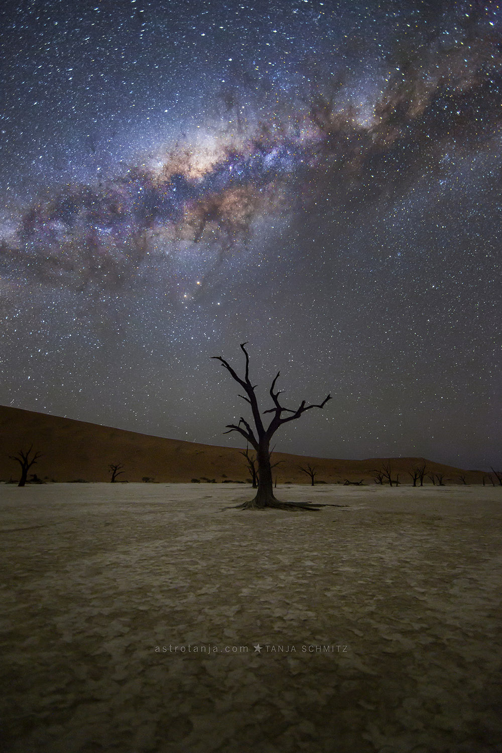 a_deadvlei2