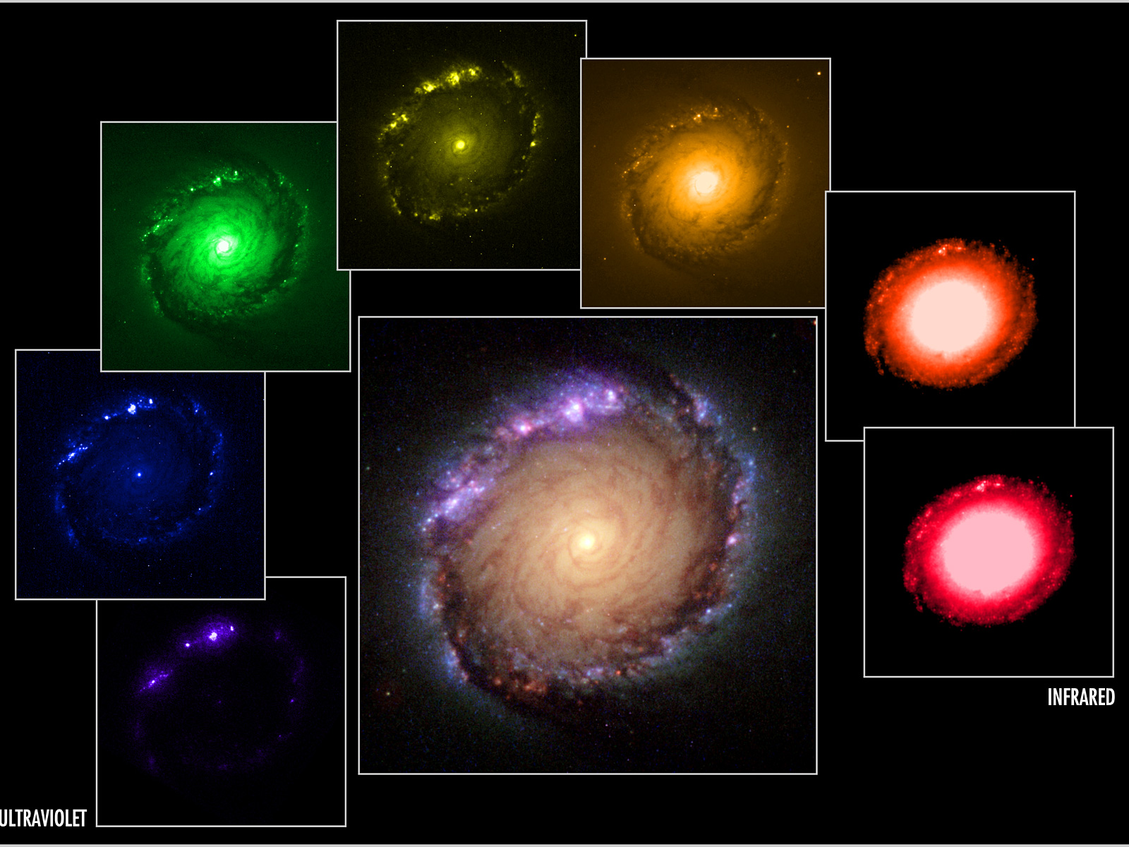 Panel of multi-wavelength and composite images of NGC 1512