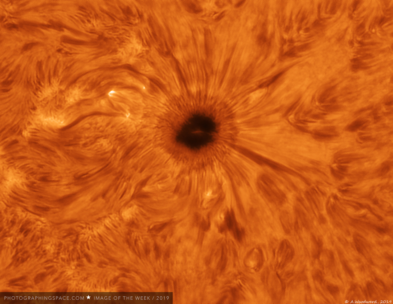 Sunspot-2738-13-04-19-10.2-web